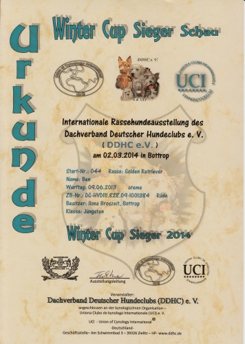 Urkunde Winter Cup Sieger Schau 2014 klein